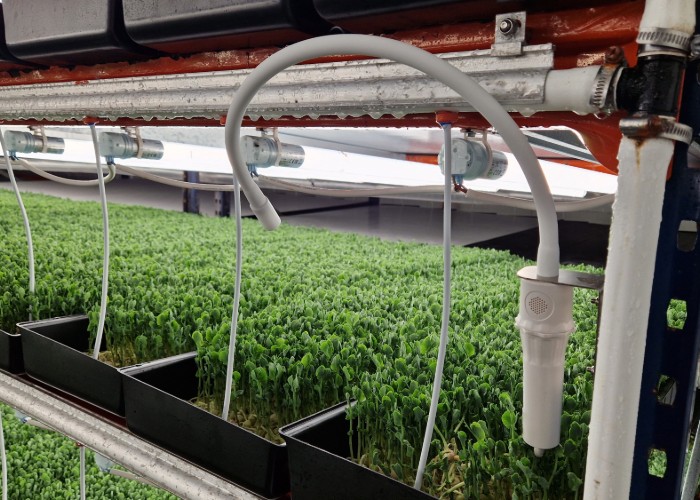 Aranet_Agricultura_1