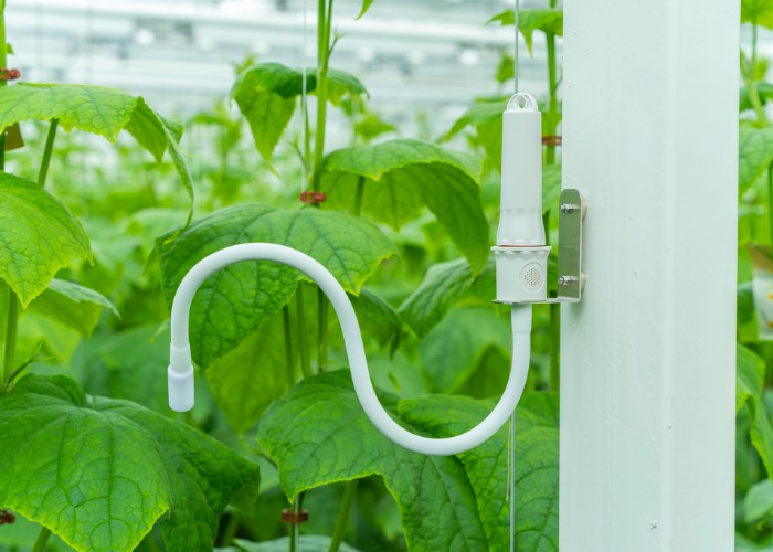 Aranet_Agricultura_4