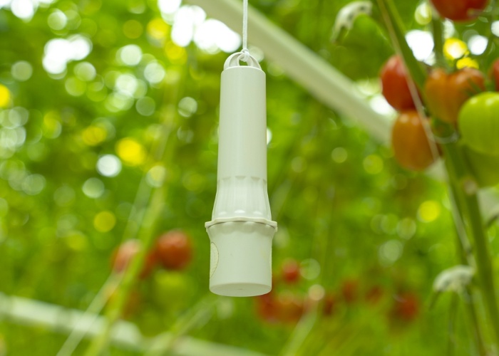 Aranet_Agricultura_5