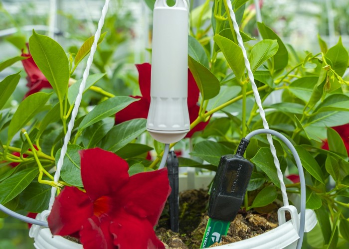 Aranet_Agricultura_6